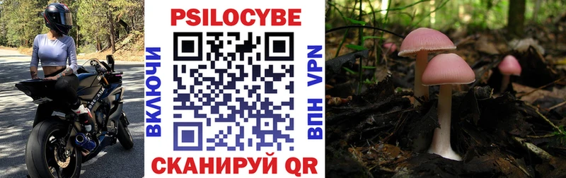Псилоцибиновые грибы Cubensis  Луза 